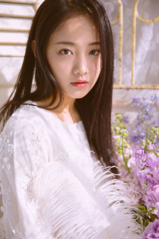 何惧其陌之花非花